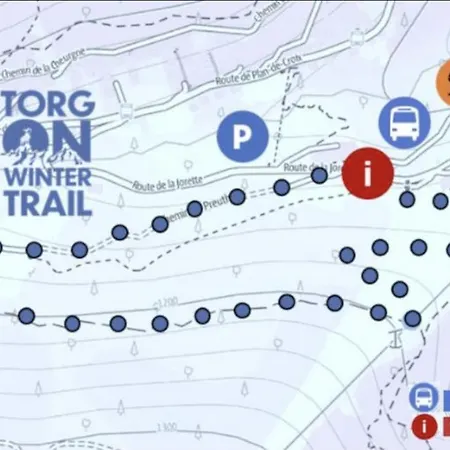 Terrasse Parking Pour 8 Personnes Au A Torgon Vionnaz