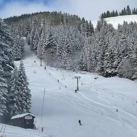 شقة Terrasse Parking Pour 8 Personnes Au A Torgon