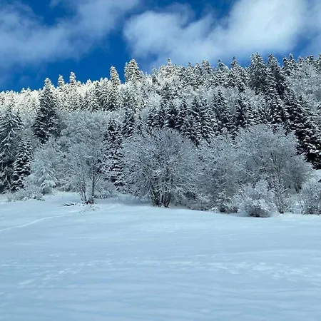 Terrasse Parking Pour 8 Personnes Au A Torgon Appartement Vionnaz