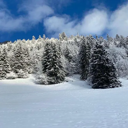 Terrasse Parking Pour 8 Personnes Au A Torgon Vionnaz