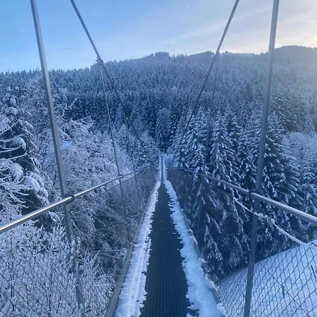 شقة Terrasse Parking Pour 8 Personnes Au A Torgon *