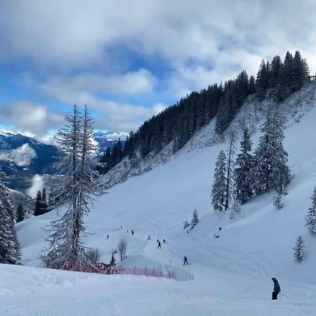 Terrasse Parking Pour 8 Personnes Au A Torgon