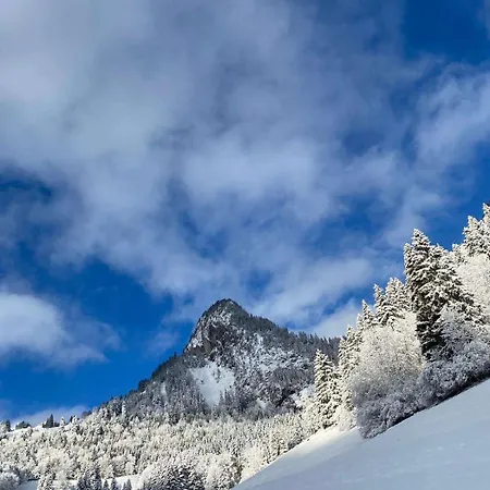 شقة Terrasse Parking Pour 8 Personnes Au A Torgon فيوناز