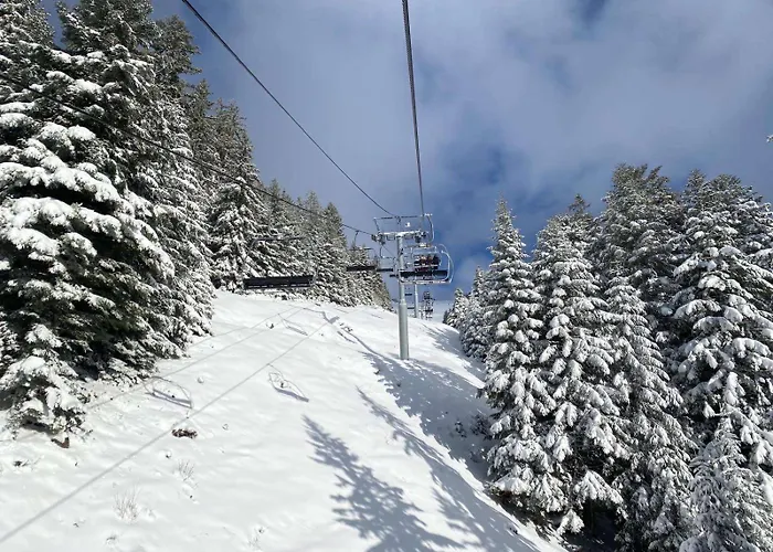 Terrasse Parking Pour 8 Personnes Au A Torgon Vionnaz