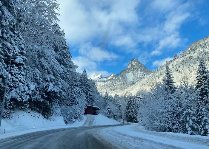 Terrasse Parking Pour 8 Personnes Au A Torgon