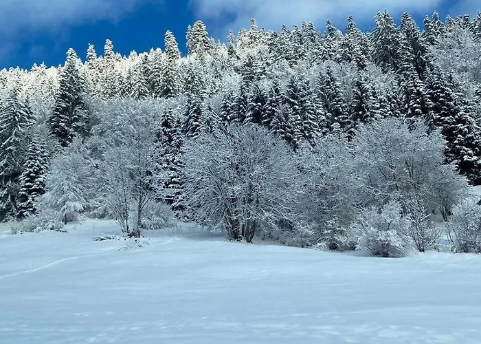 Terrasse Parking Pour 8 Personnes Au A Torgon 公寓 Vionnaz