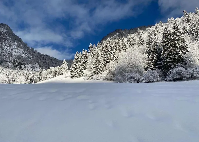 公寓 Terrasse Parking Pour 8 Personnes Au A Torgon Vionnaz