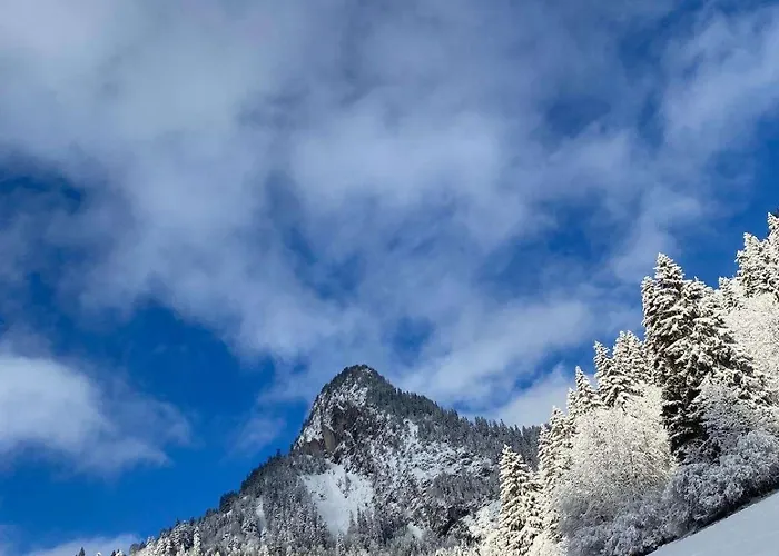 公寓 Terrasse Parking Pour 8 Personnes Au A Torgon Vionnaz