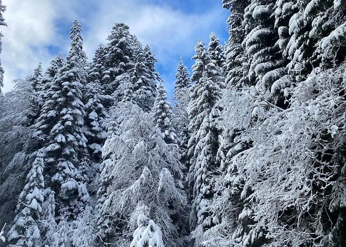 公寓 Terrasse Parking Pour 8 Personnes Au A Torgon