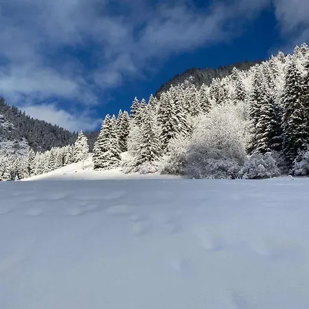 Daire Terrasse Parking Pour 8 Personnes Au A Torgon Vionnaz