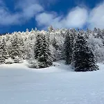 Terrasse Parking Pour 8 Personnes Au A Torgon Vionnaz