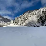 Lägenhet Terrasse Parking Pour 8 Personnes Au A Torgon Vionnaz