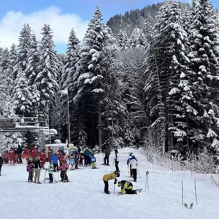 Terrasse Parking Pour 8 Personnes Au A Torgon Vionnaz