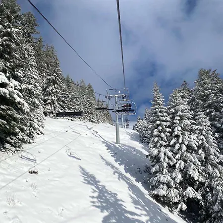Terrasse Parking Pour 8 Personnes Au A Torgon Lejlighed *