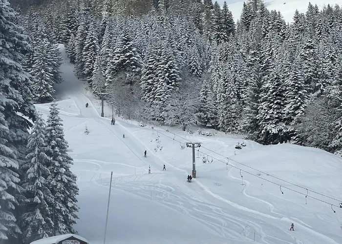 Apartamento Terrasse Parking Pour 8 Personnes Au à Torgon