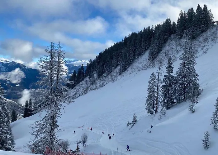 Terrasse Parking Pour 8 Personnes Au à Torgon