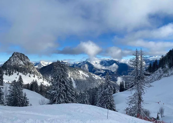 Terrasse Parking Pour 8 Personnes Au à Torgon *